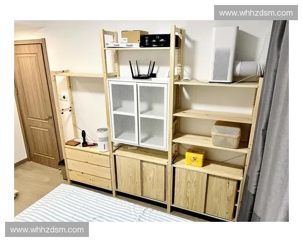 宜家家居衣柜价格全面解析不同系列尺寸配置与选购费用指南详情参考